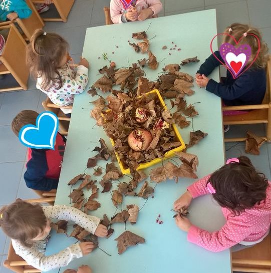 Attività con foglie e materiale raccolti in giardino